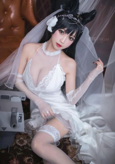 兰花草免费观看全集