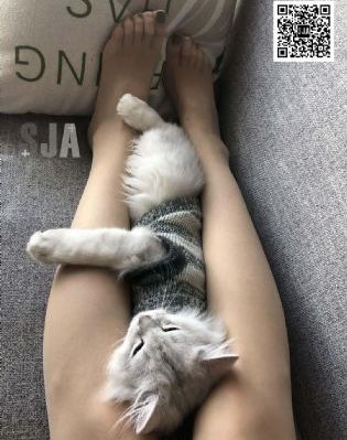 爱听闻电影