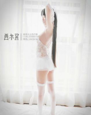 与凤行电视剧免费观看在线播放