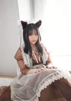 布拉芙夫人免费